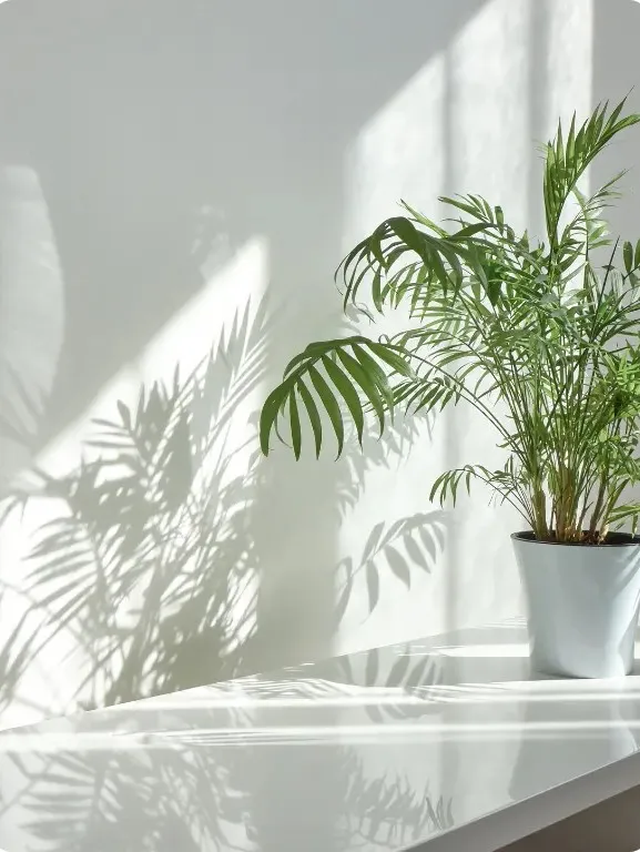 観葉植物
